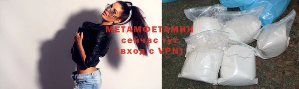 прущие грибы Беломорск