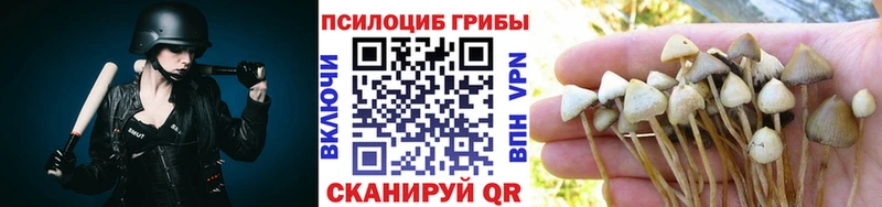 Псилоцибиновые грибы Psilocybe  Вольск 